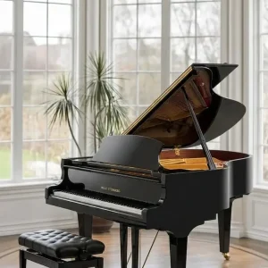 Wilh Steinberg P-178 Acoustic German Grand Piano