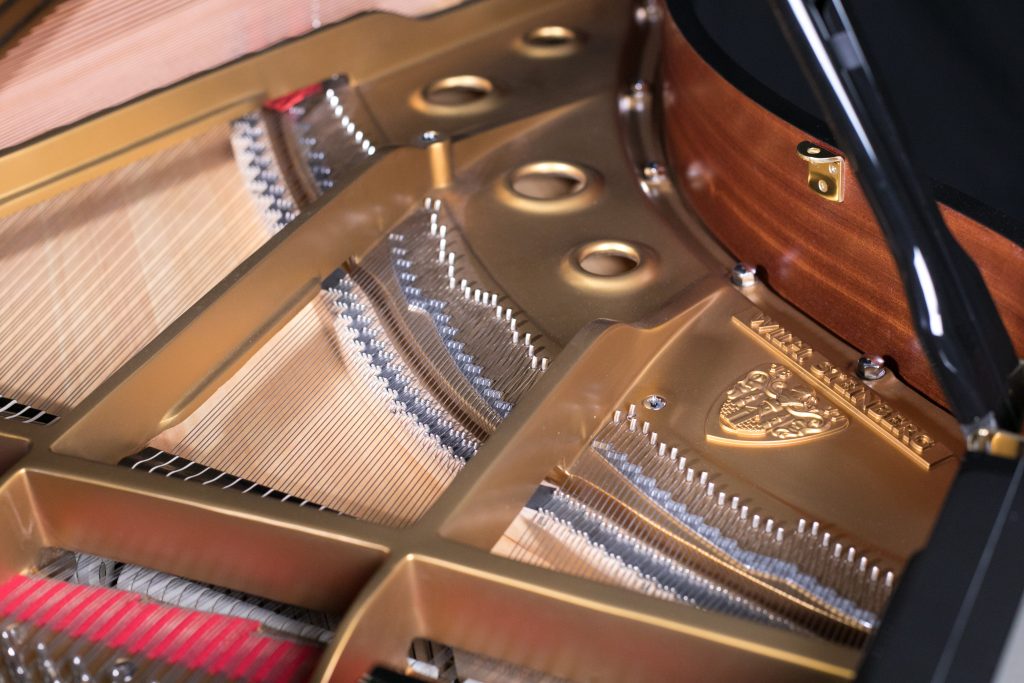 Premium Acoustic Wood