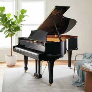 Schönbrunn XG152 Acoustic German Grand Piano